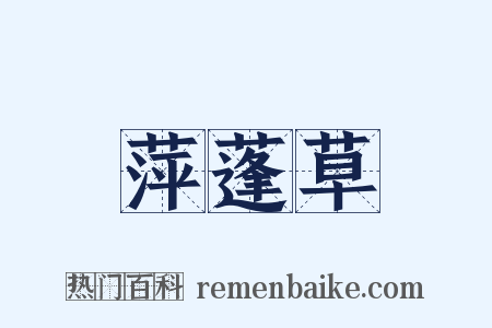 萍蓬草是什么意思的图片